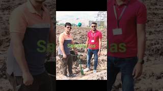 Tree Plantation Zielona Gora Poland youtubeshortstreeplantationtreesstatusytshortsyoutube [upl. by Orabel]