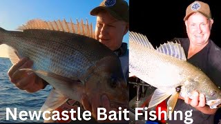 Bait fishing Newcastle Jewfish and Snapper [upl. by Ehsom884]