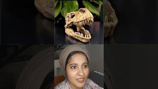 Can you guess the skeleton tamallureaction reactionvideo guessinggame shortsfeed viral [upl. by Fried757]