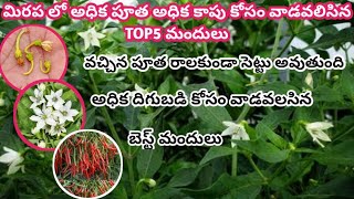 మిరప లో అధిక గ్రోత్ విపరితమైన పూత కాత కోసం [upl. by Stranger417]