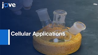 Synthesis CoreShell LanthanideDoped Upconversion Nanocrystals l Protocol Preview [upl. by Pulcheria]