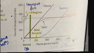 Dawn and Somogyi effect mnemonics neetpgprep neetpg inicet physiology [upl. by Rikki965]