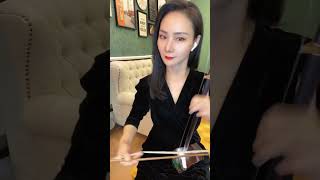 二胡演奏 新鸳鸯蝴蝶梦 纯音乐 Erhu covers soothing relaxing stress relief healing calm sleep music erhu 二胡 许文芳 [upl. by Ioyal]