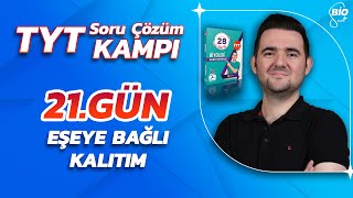 Eşeye Bağlı Kalıtım Genetik Çeşitlilik Soru Çözümü  21 Günde TYT Biyoloji Kampı21 [upl. by Asaph596]