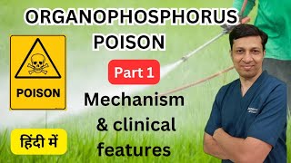 Organophosphate poisoning in hindi। OP poisoning। Organophosphorus poisoning in hindi। हिंदी।Part 1 [upl. by Hgielar893]