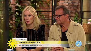 quotJag drömmer om en Mledd regering utan statsministerquot  Nyhetsmorgon TV4 [upl. by Tnattirb]