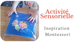 Activité Montessori  Sac sensoriel [upl. by Amikan]