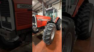 2505 original hours on this 1989 Massey Ferguson 3650 😳 [upl. by Aniteb208]