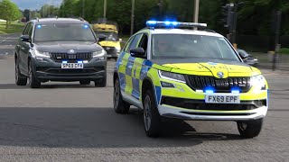 NEARLY CATCHING AIR TIME Police Dogs Responding at HIGH SPEED [upl. by Alikee]