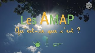 Les AMAP Questce que cest [upl. by Enyar]