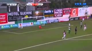 Todos los Goles de Saprissa Torneo de Verano 2014 ¡¡Campeón Nacional [upl. by Flavian]