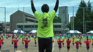 Undokai  Sports Day in a Japanese Primary School [upl. by Yenahc]