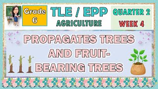 TLE  EPP 6 AGRICULTURE QUARTER 2 WEEK 4  PROPAGATES TREES AND FRUITBEARING TREES [upl. by Kamat639]