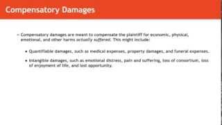 Torts lecture Compensatory and Punitive Damages  quimbeecom [upl. by Nibot]