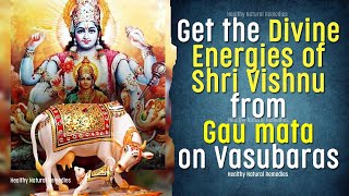 Get the divine energies of Shri Vishnu from Gau mata on Vasubaras 2023 Vasu Baras Puja Vidhi Diwali [upl. by Ttenna]