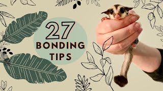 27 Sugar Glider Bonding Tips  Bonding with your Sugar Gliders [upl. by Lhary]