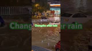 food changsha china smartphone automobile rain [upl. by Weld]