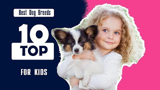 Хүүхдэд ээлтэй 10 нохойн үүлдэр  Top 10 Best Dog Breeds for Kids [upl. by Alyad626]