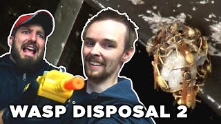 WASP DISPOSAL 2 BugASalt [upl. by Teemus]