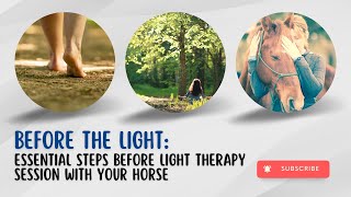 Before the Light Essential Steps for a Successful Horse Light Therapy Session [upl. by Plumbo]