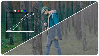 Mastering CURVES Tool  Cinematic Color Grading Tutorial Premiere Pro [upl. by Riorsson]