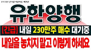 유한양행 주가전망긴급 내일 230만주 매수 대기중 세계폐암학회 발표이후 폭등나올겁니다 내일을 놓치지마시고 이렇게 대응하세요 [upl. by Isus993]