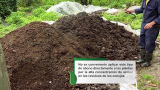 Aprenda a fertilizar los suelos con el estiércol de conejo  La Finca de Hoy [upl. by Haeluj]