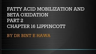 Beta oxidation of Fatty acids Chapter 16 Biochemistry made easy by Dr Bint e Hawa [upl. by Margarida]