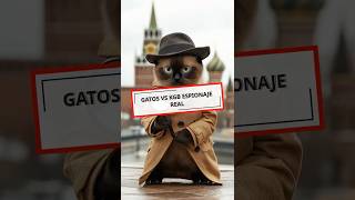 ¡Gatos Espías Contra la KGB😱🐾short gatos historiasreales [upl. by Kelwin]