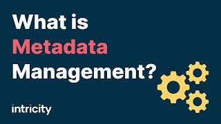 What is Metadata Management [upl. by Nightingale739]