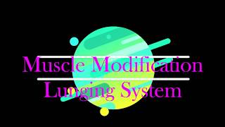 Muscle Modification Lunging amp Combination Cavesson [upl. by Kort]