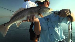 Beavertail Skiffs Vengeance Presents Florida Adventure Quest Indian River Redfish Double [upl. by Laughton]