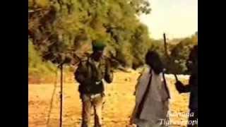 TPLF Song  Ms Hzbna ምስ ህዝብና [upl. by Darius]