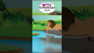 সিংহ আর সানার চুিড়  Fairy Tales In Bangla  Moral Story For Kids In Bangla [upl. by Koziara]