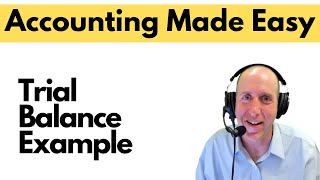 FA12  The Trial Balance Example [upl. by Christopher821]