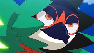 decidueye never loses [upl. by Schreib]