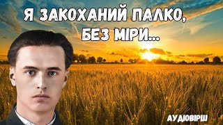 quotЯ закоханий палко без міриquot Василь Симоненко Аудіо вірш слухати [upl. by Mitchell526]