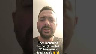 The Cranberries Zombie from Bad Wolves cover death vocals 🤘🤘 [upl. by Leinehtan]