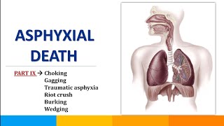 Part11  BurkingWedgingPerthes SyndromeCafe Coronary SyndromeAsphyxial Death  ‎SavvyForensics [upl. by Arocahs]