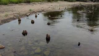 Shores of Lake Michigan HD  Upper Peninsula Michigan USA [upl. by Sprage333]