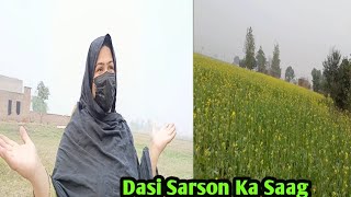 Apna khet ka sarson ka saagSarson K Saag Ka Khet Saag Recipe  Punjabi Saag RecipeSarson Ka Saag [upl. by Cirred214]