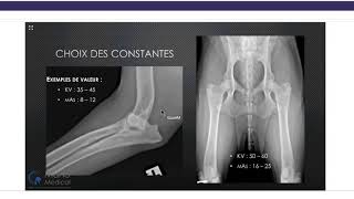 Comment Optimiser Mes Radiographies Numériques Osseuses en Médecine Vétérinaire [upl. by Puff]