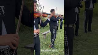 Mariachi Real Tamazula La Feria de las Flores [upl. by Florida]