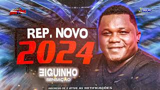 BIGUINHO SENSAÇÃO 2024 BIGUINHO SERESTA 2024 MÚSICAS NOVAS ARROCHA BIGUINHO 2024 biguinhosensacao [upl. by Giraldo281]