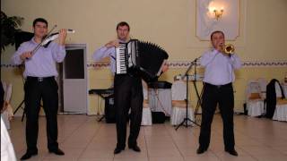 █▬█ █ ▀█▀ Formatia Maestro  Chisinau Instrumental [upl. by Irat867]