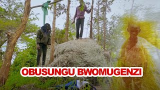 OBUSUNGU BWOMUGENZI UGANDAN MOVIE 1080p [upl. by Quennie]