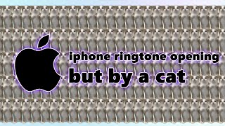 iphone ringtone opening but by a cat 10 hours [upl. by Elacsap]