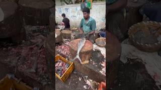 Kasimedu fish market  Vanjaram fish cutting  king fish cutting [upl. by Ytsanyd]