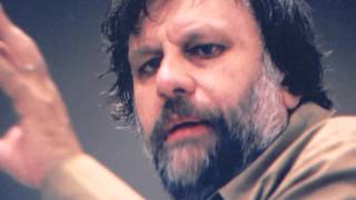 Zizek Delenda Est [upl. by Currier]