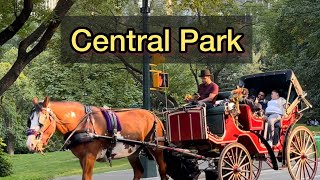 Central Park  Manhattan  NewYork  USA [upl. by Einafats499]